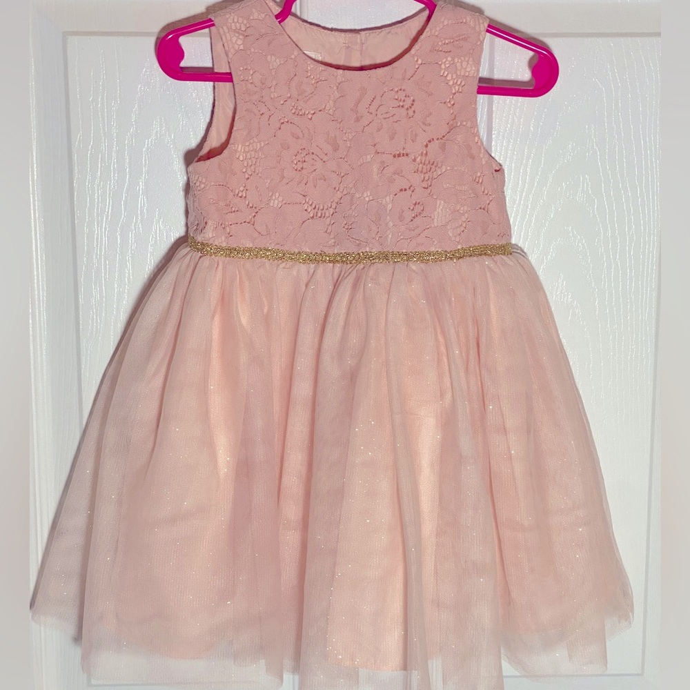 Fancy Pink Lace and Tulle Dress for Toddlers